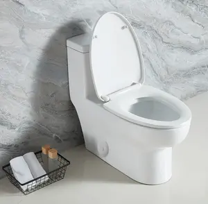 High Quality American Standard WaterSense S-trap 12" Rough-in Ceramic Sanitary Ware Bathroom 1 Piece Toilet