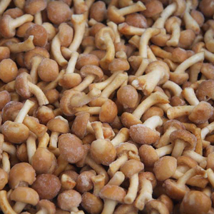 Detan Frozen <span class=keywords><strong>Nameko</strong></span> para compradores de hongos - Product Image 4