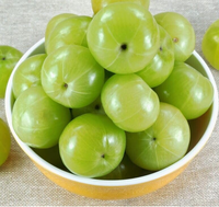Natuurlijk gedroogde Amla hele vruchten Emblica Officinalis botanische kruiden grondstof plantaardig ingrediënt Indiase leverancier