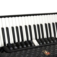 Accordéon portable professionnel Yingwu 120 basses 3 chorales mini Parrot avec clavier en bois et sangles