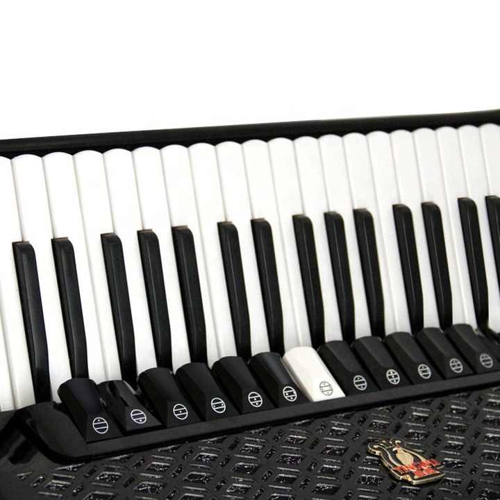 120 Bass Parrot Accordion - Yingwu Piano Keyboard Instrument