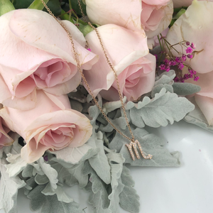 Nuovo Design <span class=keywords><strong>collana</strong></span> in acciaio inox oro <span class=keywords><strong>con</strong></span> cristallo Cz <span class=keywords><strong>segno</strong></span> <span class=keywords><strong>zodiacale</strong></span> <span class=keywords><strong>collana</strong></span> - Product Image 4