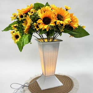 फूलों की व्यवस्था के लिए एलईडी लाइट-अप <span class=keywords><strong>vase</strong></span>-usb-संचालित आयताकार रेहोमोबोइड न्यूनतम रचनात्मक प्लास्टिक प्लांटर - Product Image 1