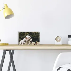 <span class=keywords><strong>Acrylic</strong></span> khung ảnh hiển thị bảng hai mặt trong suốt 56789inch từ hút khung ảnh hiển thị - Product Image 6