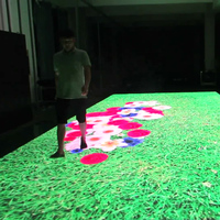 Tapis de danse interactif vidéo led pour salle de bains, panneau de sol, P3.91/P4.81/P6.25, meilleure vente
