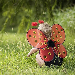 Ali di Coccinella Rossa e Fascia con Antenne, Accessori per Costume da Coccinella per Bambini - Product Image 6