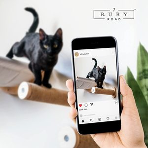 Estantes de pared flotantes de madera ecológica para gatos, con hamaca y perchas, muebles rascadores de madera para montar en la pared - Product Image 5