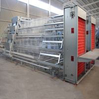 Nouvelle machine d'élevage de poulets entièrement automatique avec système d'alimentation, de collecte des œufs et d'élimination du fumier, construction en acier galvanisé