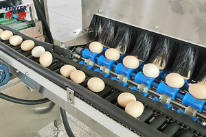 <span class=keywords><strong>2025</strong></span> zenyer 102bp quy mô nhỏ trứng học sinh lớp dẫn điện tử có trọng lượng với công suất 5000 tùy chọn trứng chế biến - Product Image 2