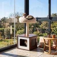 Maison de luxe écologique pour chat, design palmier en rotin synthétique avec lit-griffoir, commandes OEM et ODM, construction écologique