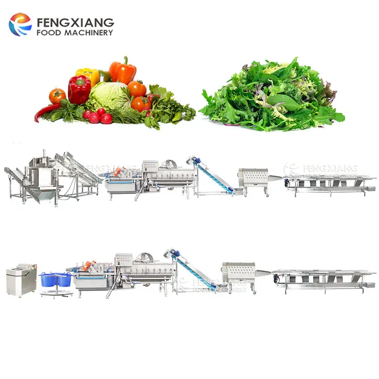 Fengxiang salata sebze işleme hattı salata kesme yıkama dehidrasyon makinesi
