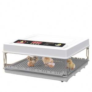 Incubadora <span class=keywords><strong>de</strong></span> <span class=keywords><strong>huevos</strong></span> para uso doméstico, capacidad <span class=keywords><strong>de</strong></span> 48 <span class=keywords><strong>huevos</strong></span>, suministro <span class=keywords><strong>de</strong></span> agua automático, tipo pequeño, 1000, precio <span class=keywords><strong>de</strong></span> fábrica - Product Image 4