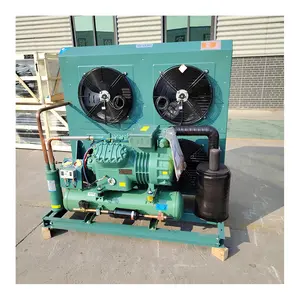 Energy efficient piston condensing units manufacturers are used in restaurant cold storage and stores