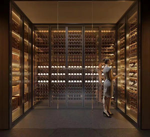 <span class=keywords><strong>Cantinetta</strong></span> Vini da Incasso in Acciaio Inox dal Design Moderno, Porta in Vetro, Controllo Temperatura Multi-Zona, Controllabile tramite App - Product Image 4