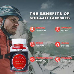 Gommes de Shilajit personnalisées OEM en fibre pure de l'Himalaya Gommes de Shilajit bio Supplément Bonbons - Product Image 6