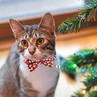 Collier de Noël pour chat avec imprimé Bonhomme de neige, Père Noël et Homme en pain d'épices, double nœud papillon, boucle de sécurité détachable, réglable pour chaton