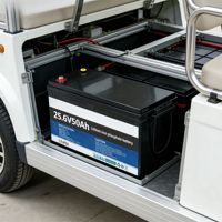 Batterie au lithium fer phosphate à décharge profonde 24V 25,6V 50Ah 300Ah, LiFePO4 pour camping-car, marine et hors réseau
