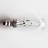 Ampoules micro-ondes E14 E17 B15 40 watts, ampoules tubulaires T8 à haute résistance à la température, ampoules incandescentes T25, mini ampoule pour réfrigérateur, pour four