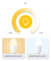 WOOJONG Ampoule LED haute luminosité T29/T37/T45/T50 Slim Globe E27/E14 Corps en plastique pour usage résidentiel Vente à chaud