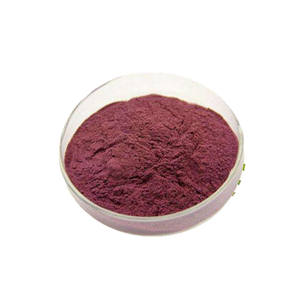 Fabricante Fornecimento Açaí Berry Extract Água-Solúvel Açaí Frutas Pó Açaí Pó Berry - Product Image 3