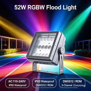 Projecteur <span class=keywords><strong>laser</strong></span> RGB haute luminosité 52W, étanche IP65, contrôlé par DMX, pour l'éclairage paysager, les arbres et les arbustes, projection de couleurs - Product Image 6