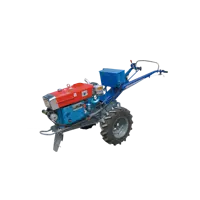 Chinese Diesel Farm Small Walking Mower Tractor Potato Planter 2 Wheel for Sale