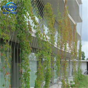 Vente directe <span class=keywords><strong>usine</strong></span> : Filet de soutien pour plantes grimpantes en acier inoxydable haute résistance pour l'aménagement vertical des jardins - Product Image 6