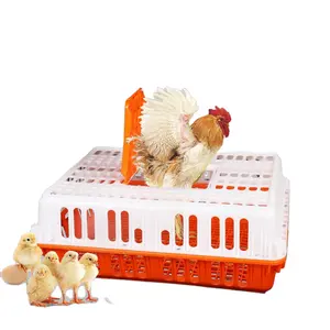 Animal Cages Poultry Carrier Crate Chickens Carrier Plastic Basket plastic Cages for Live Chicken Transport