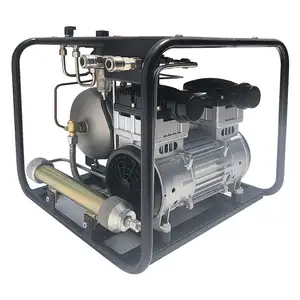DMC-compresor de aire de respiración para buceo eléctrico portátil, 12v, 550w, 8 bares