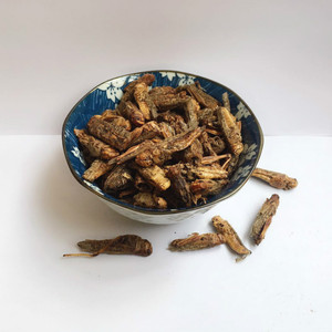 Huang Chong แมลงกินได้สำหรับเครื่องเทศและสมุนไพรเดี่ยว - Product Image 5