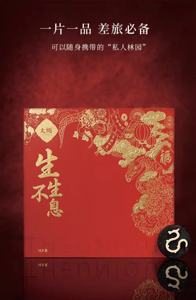 ธูปไม้กฤษณา รูปมังกร สไตล์จีน สงบจิตใจ ส่งเสริมการนอนหลับ ลดความเครียด พกพาสะดวก ใช้ภายในอาคาร - Product Image 6