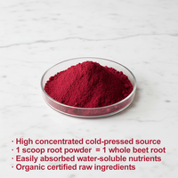 Poudre de racine de betterave OEM pour améliorer les performances sportives et stimuler l'énergie, 4 livres, approvisionnement en vrac, sans gluten, supplément antioxydant