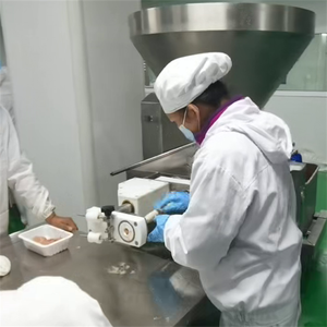 Embutidora de Salchichas al Vacío de Llenado Preciso para el Procesamiento de Salchichas con Trozos de Carne - Product Image 5