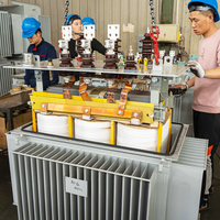 Transformateur de distribution triphasé immergé dans l'huile JZP IEEE 250 kVA 10/0,4 kV pour les systèmes de distribution d'énergie des établissements publics