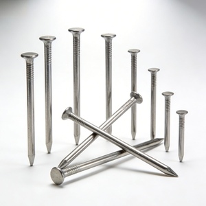 Caja Pequeña de 1 kg de Clavos Comunes para el Mercado Minorista en África - Product Image 1