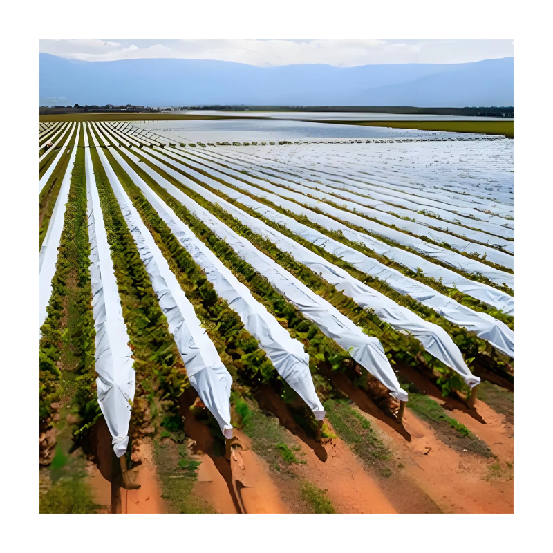 Custom PE Sliver Black Farm Planting