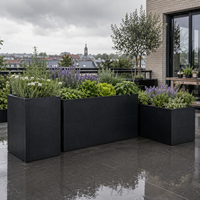 Jardinière surélevée anthracite en acier galvanisé thermolaqué, écologique, pour légumes et herbes, pour la maison et l'extérieur