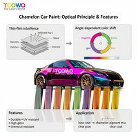Poudre de pigment optique caméléon TCOWO de haute qualité à changement de couleur selon l'angle pour revêtement de véhicule, moto et projets DIY
