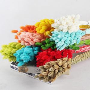 Hierba de gemas reales para arreglos florales y bodas/Fabricación de ramos de flores secas <span class=keywords><strong>Phalaris</strong></span> para decoraciones del hogar y de Graduación - Product Image 4