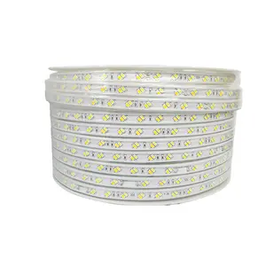 Dải Đèn LED Linh Hoạt IP67 Dải Chống Nước Tiras Luces 220V 5050 RGB 60Leds/M Nhà Máy Điện Áp Cao