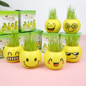 Mini Bonsái con Emojis, Planta en Maceta, Decoración Verde para Interiores, 4 Piezas, Plástico Redondo, Regalo para Sala de Estar, Cumpleaños - Product Image 1