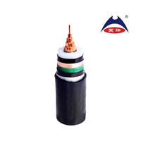 Cable de Alimentación ZR YJV62 26/35kV, Monofásico, Retardante de Llama, Aislamiento XLPE, Cubierta STA PVC, 50mm 70mm 95mm, para Estación de Energía Ferroviaria, 500m