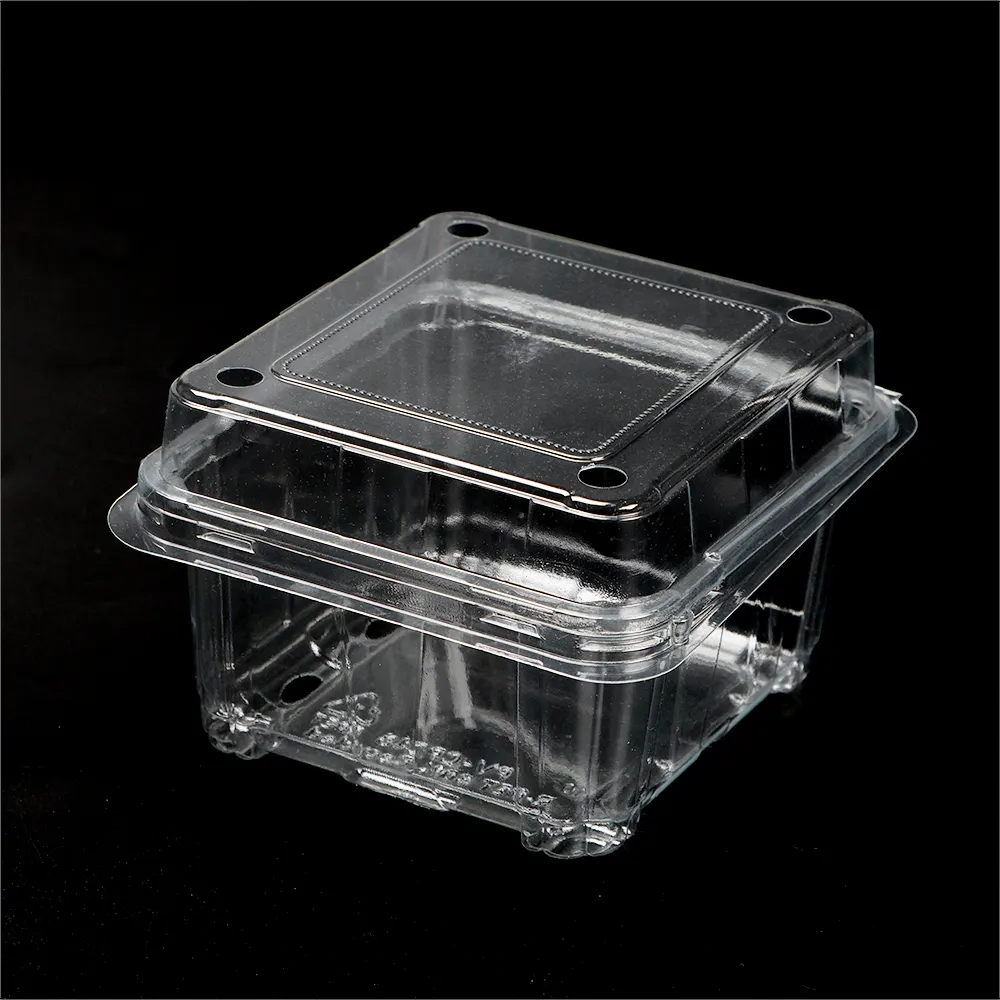 Personalize recipientes de plástico descartáveis para alimentos em concha transparente embalagens biodegradáveis