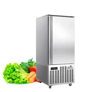 10 Tray Small Air Cooling Blast Freezer for Quick Freezing Small Refrigeration Machine