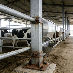 Nave de Acero Resistente a la Intemperie para Uso Agrícola y Ganadero, Establos para Ganado - Product Image 2