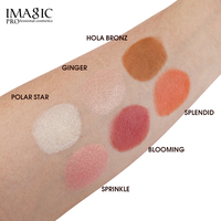 Palette de maquillage pour le visage 6 couleurs, contour, blush, illuminateur, fini mat, poudre cuit, haute pigmentation, look naturel glamour au quotidien