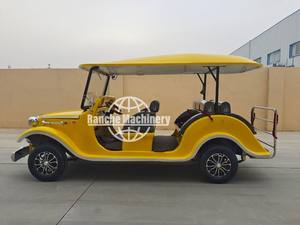 Voiture électrique de tourisme personnalisée, conduite à droite/à gauche, homologuée pour la route, luxe, extérieur, batterie au plomb-acide, 4 à 17 places - Product Image 6