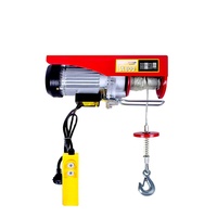 Nouveau Treuil Électrique à Câble Métallique sans Fil Micro 220V, Capacités 100kg, 200kg, 500kg, Vente en Gros Fabricant