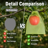 Groene fruitbeschermingszakken Herbruikbare plantenbeschermingshoes voor sinaasappels, appels, druiven, ongedierte, vogels, zon, regenbescherming, tuin, boomgaard