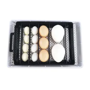 Mini incubateur automatique pour œufs, meilleure vente départ du japon, en chine